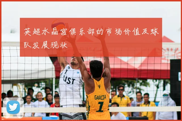 英超水晶宫俱乐部的市场价值及球队发展现状